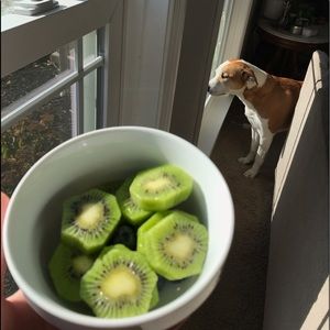 Meet your Posher, Mia